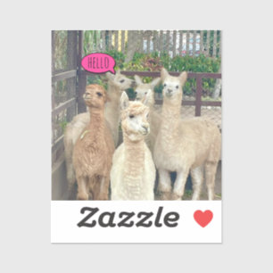 Llamas ready to party on a sticker or decal