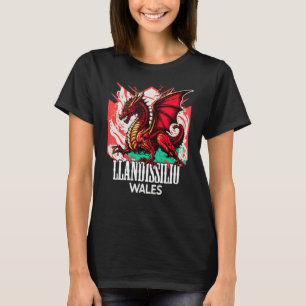 Llandissilio Wales Welsh Flag Y Ddraig Goch Dragon T-Shirt
