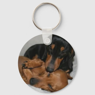 Llavero Botón Básico teckels Key Ring