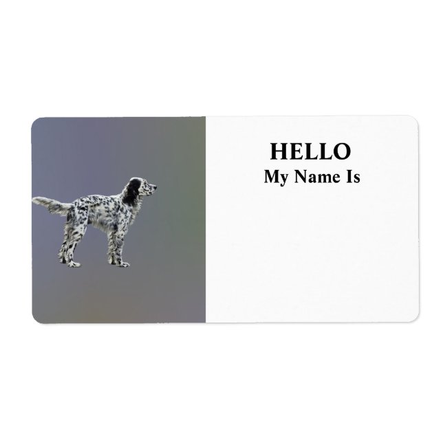 LLewellin Setter (Front)