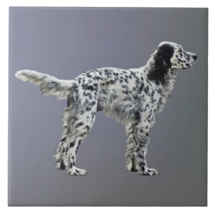 LLewellin Setter Ceramic Tile