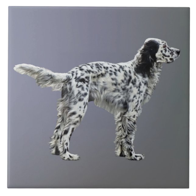 LLewellin Setter Ceramic Tile (Front)