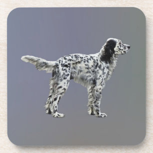 LLewellin Setter Coaster