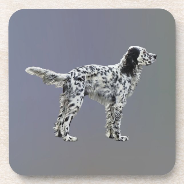 LLewellin Setter Coaster (Front)
