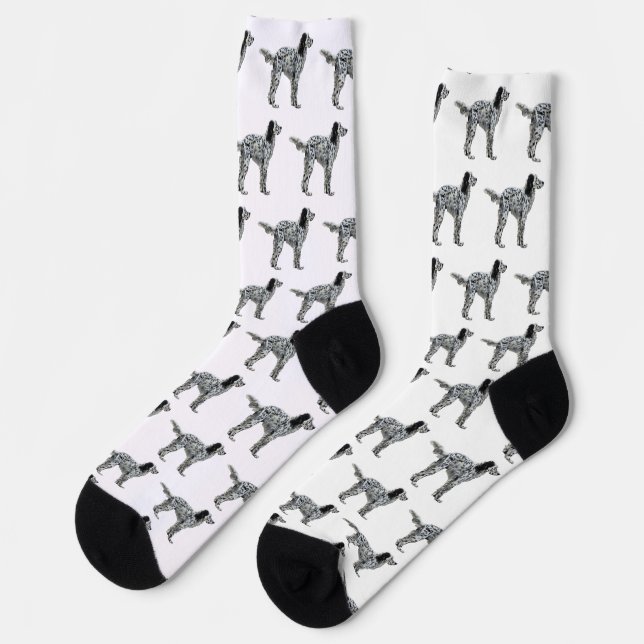 LLewellin Setter Socks (Left)