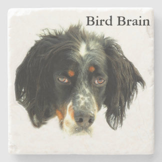 Llewellyn Setter Bird Brain Stone Coaster