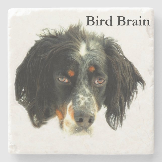 Llewellyn Setter Bird Brain Stone Coaster (Front)
