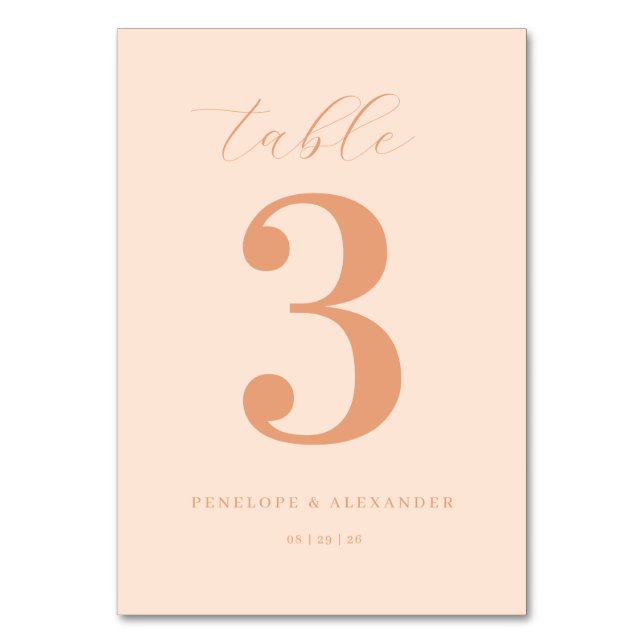 ___LLMGEN___ 13 TABLE NUMBER (Front)