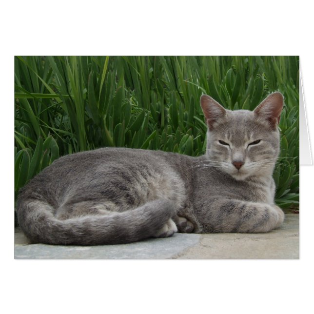 Lloyd Garden Card (Front Horizontal)