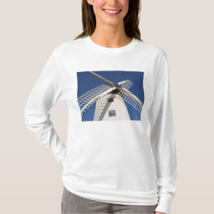 Llynnon Mill, Llandeusant, Anglesey, Wales (RF) T-Shirt