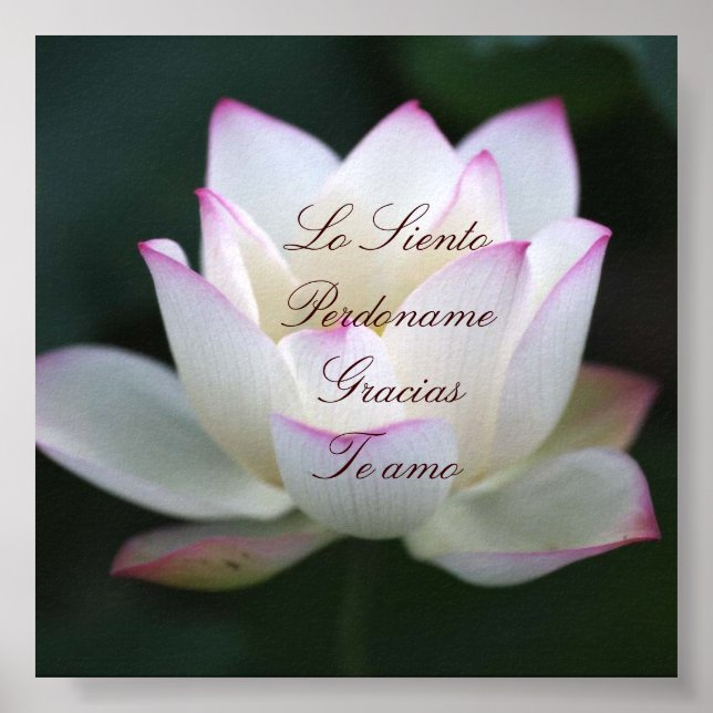 Lo Siento , Perdoname, Gracias , Te Amo Poster (Front)