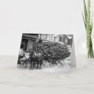 Load of Xmas Trees, 1910 Holiday Card