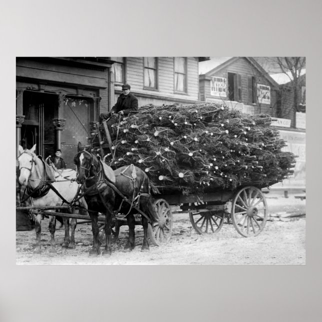 Load of Xmas Trees, 1910 Poster (Front)
