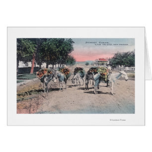 Loaded Donkeys on the StreetLas Vegas, NM