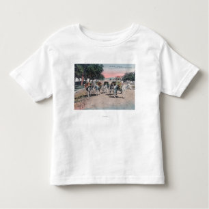 Loaded Donkeys on the StreetLas Vegas, NM Toddler T-Shirt