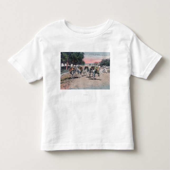 Loaded Donkeys on the StreetLas Vegas, NM Toddler T-Shirt (Front)