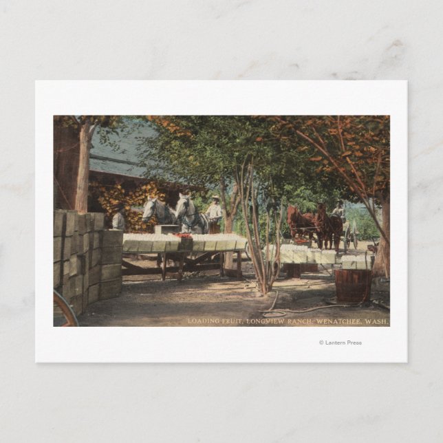 Loading Fruit at Longview Ranch Postcard (Front)