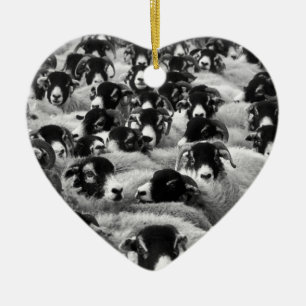 LOADS of Rams Sheep Black and White Ceramic Tree Decoration