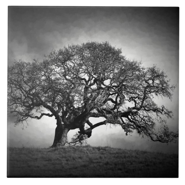 LOAN OAK TREE CERAMIC TILE (Front)