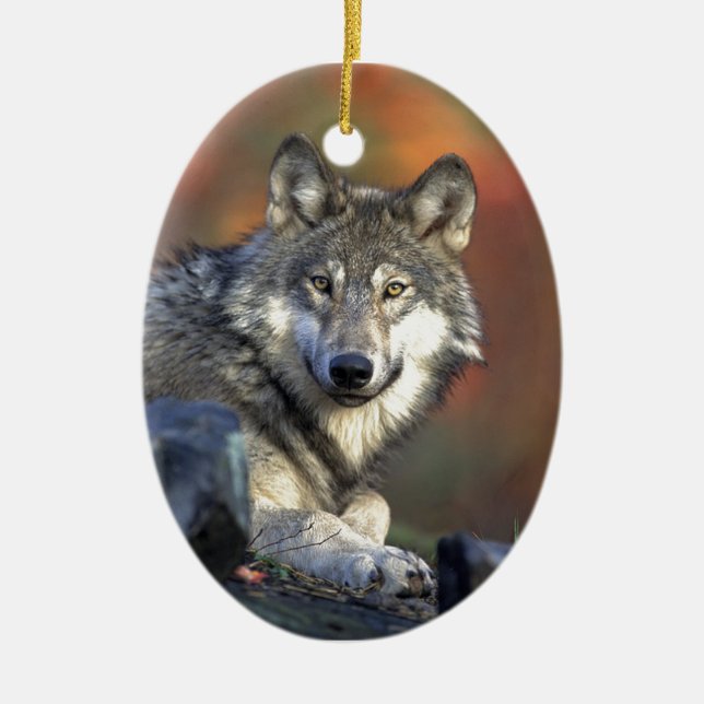 Lobo Gris Ceramic Ornament (Front)