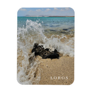 Lobos Island beach view fridge magnet