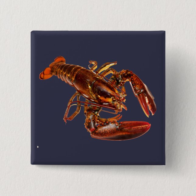 Lobster 15 Cm Square Badge (Front)