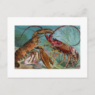 Lobster and Langoustine Postcard