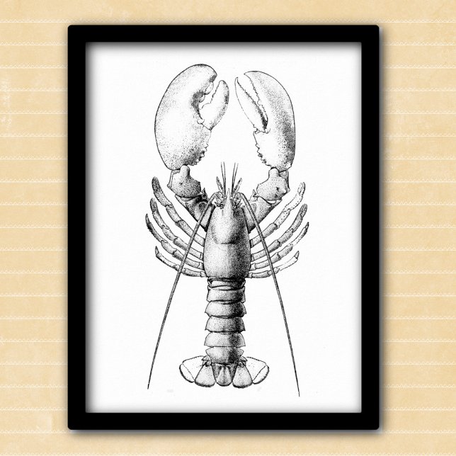 Lobster black and white vintage illustration poster (Creator Uploaded)