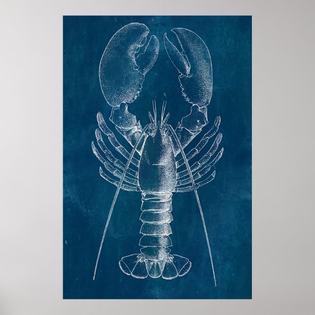 Lobster Blueprint Poster (Front)