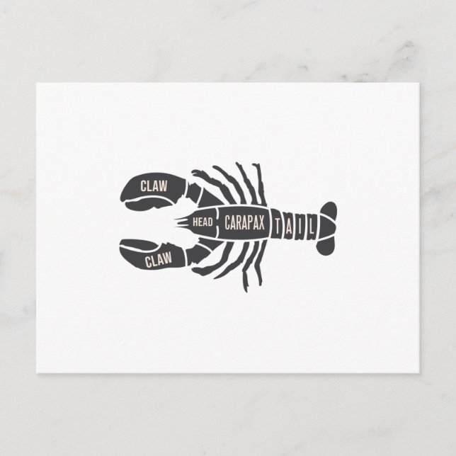 Lobster Butcher Postcard (Front)