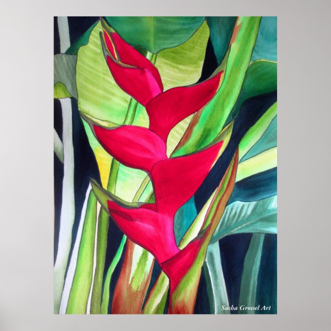 Lobster Claw Heliconia tropical watercolor flower Poster (Front)