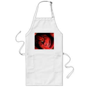 Lobster Claw  Long Apron