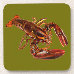 Lobster Coaster