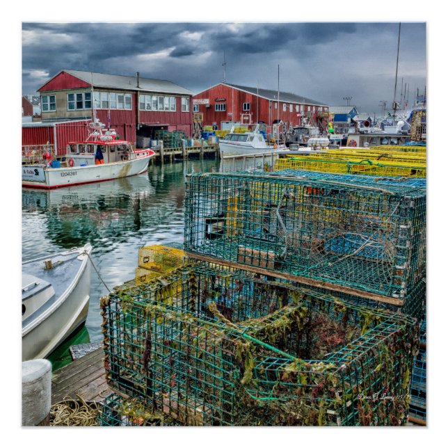 Lobster Country Poster (Front)