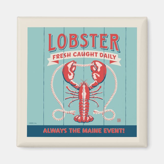 Lobster Fresh Caught Daily | Maine Magnet (Front)