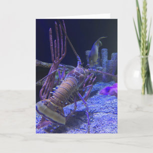 lobster greeting card (funny inside)