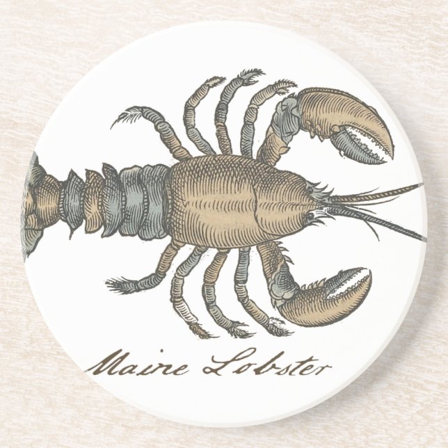 Lobster Illustration Antique Maine Seafood Coaster (Front)