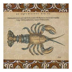 Lobster Illustration Antique Maine Seafood Poster