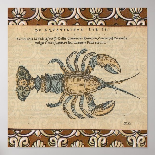 Lobster Illustration Antique Maine Seafood Poster (Front)