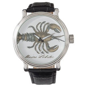 Lobster Illustration Antique Maine Seafood Watch