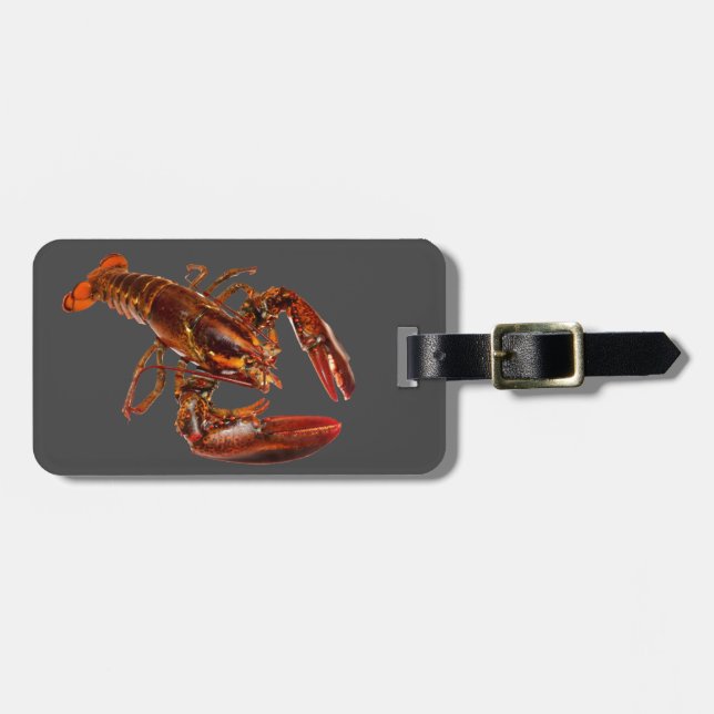 Lobster Luggage Tag (Front Horizontal)