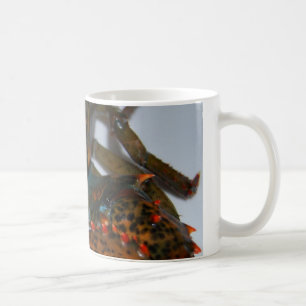 lobster mug