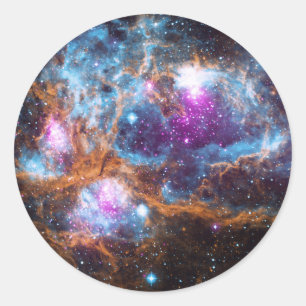 Lobster Nebula Classic Round Sticker