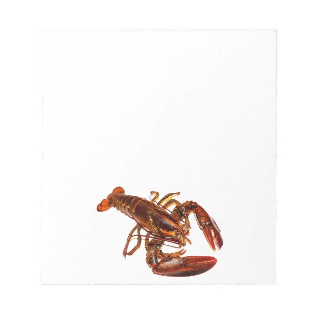 Lobster Notepad (Front)