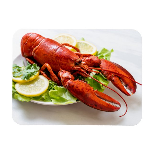 Lobster Photo Magnet (Horizontal)