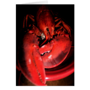 Lobster Photography