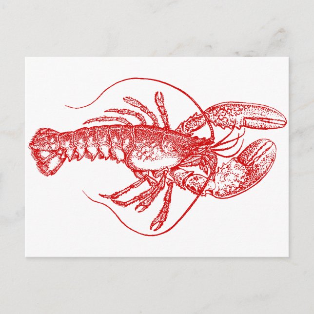 Lobster Postcard (Front)