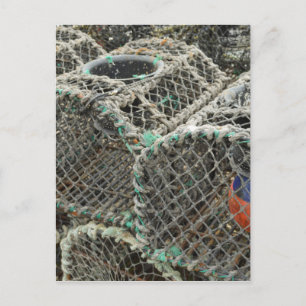 Lobster pots postcard