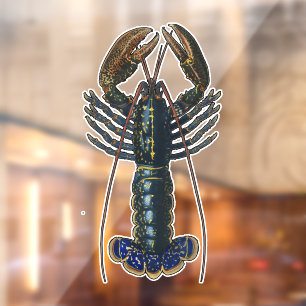 Lobster Shellfish Seafood Maine Classic Ocean
