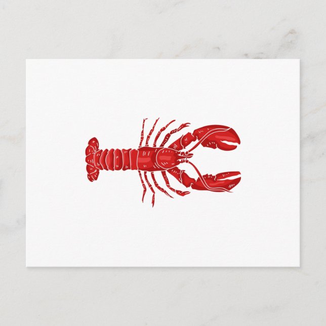Lobster Vector Postcard (Front)